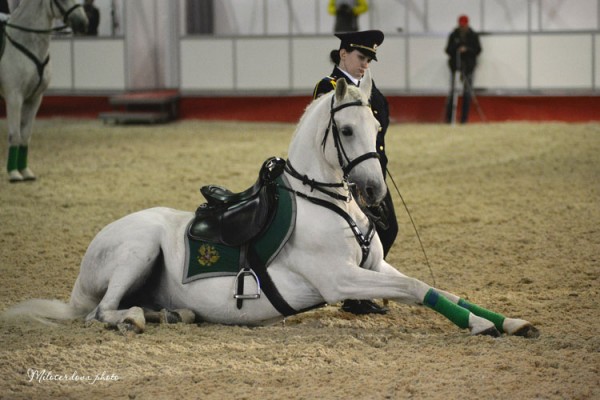 ЭКВИРОС / EQUIROS 2015